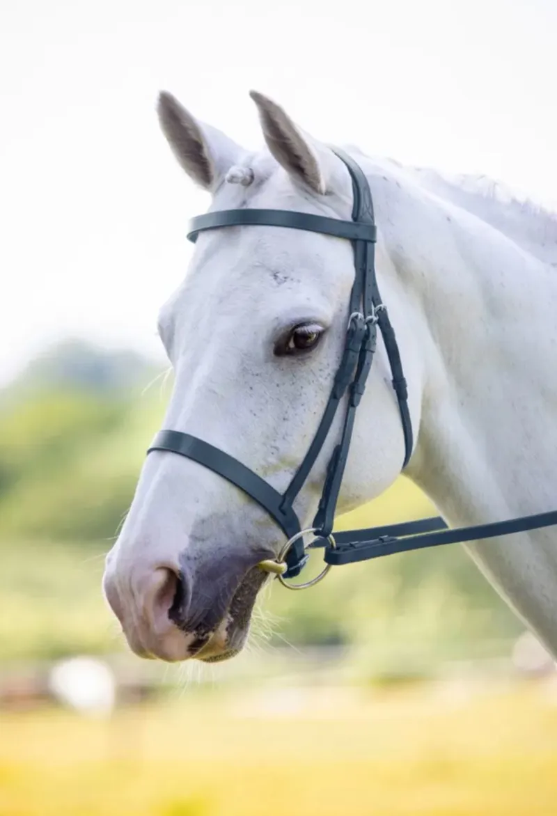 Velociti Hunter Cavesson Bridle Black